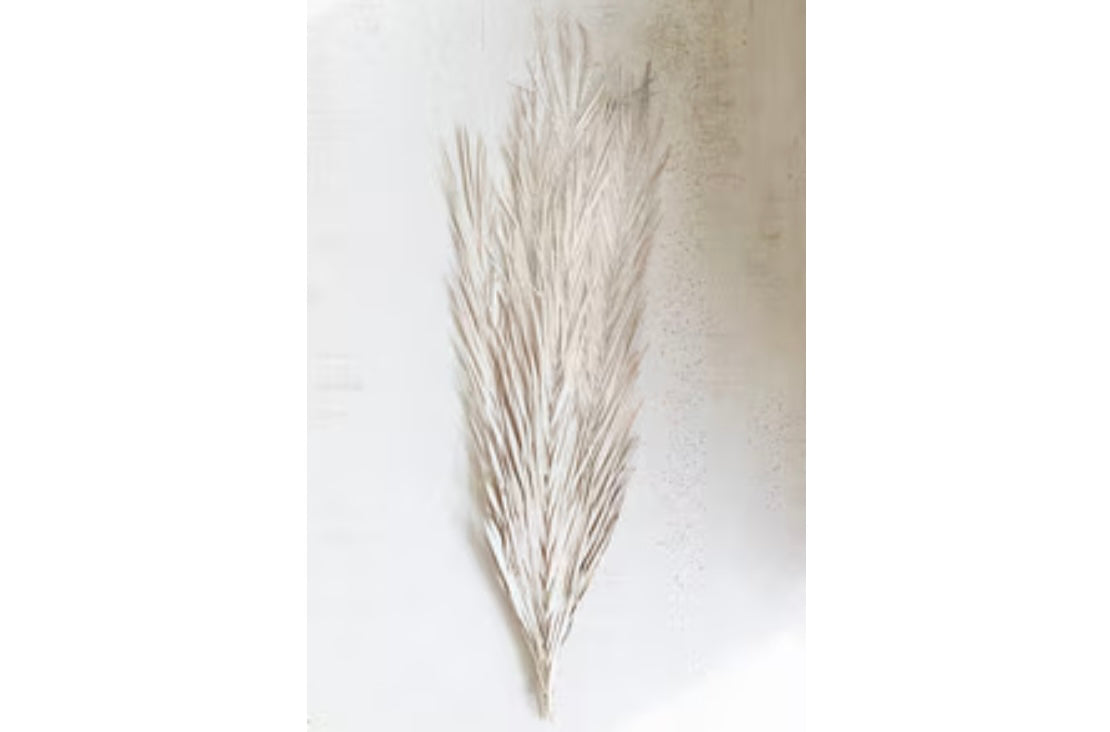 White Palm Leaves