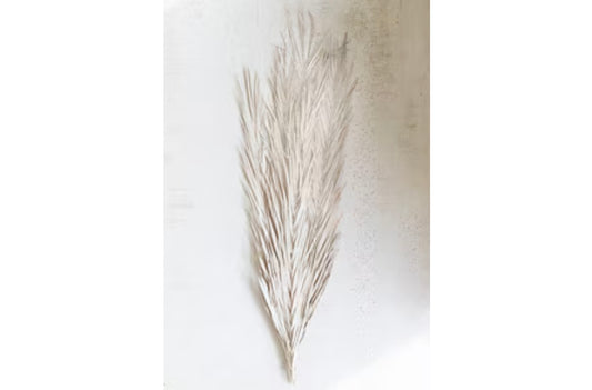White Palm Leaves